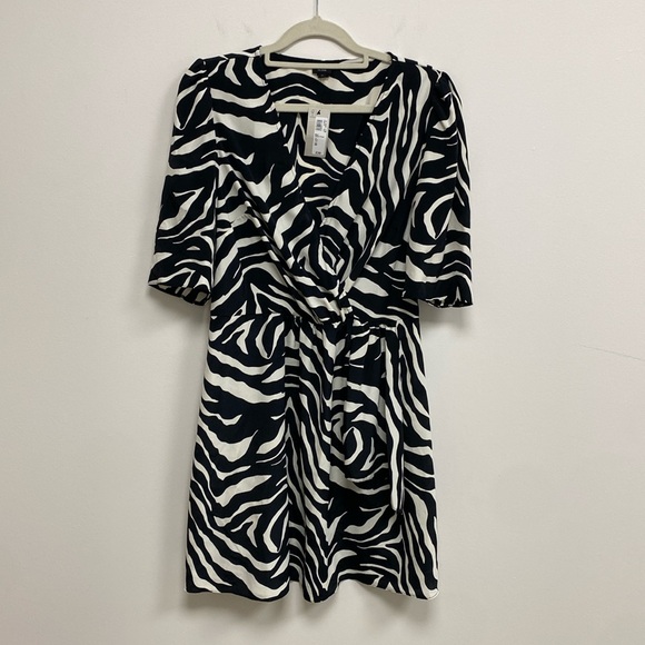 Zebra Dress - Picture 5 of 8